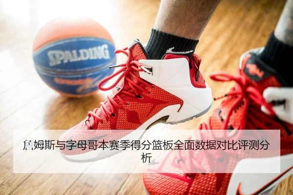 詹姆斯与字母哥本赛季得分篮板全面数据对比评测分析