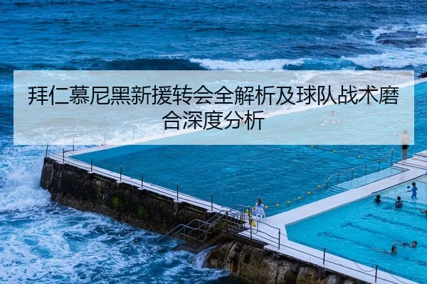 拜仁慕尼黑新援转会全解析及球队战术磨合深度分析
